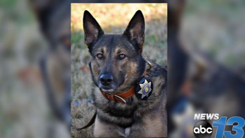 k-9-nikos