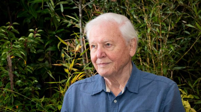 David Attenborough urges summit participants to help ‘rewrite our story.’