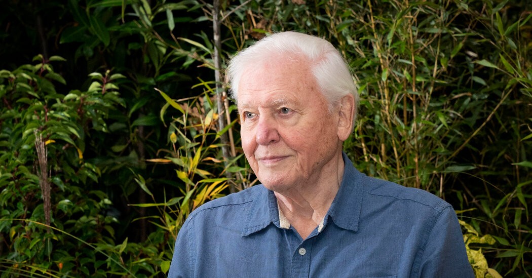 David Attenborough urges summit participants to help ‘rewrite our story.’