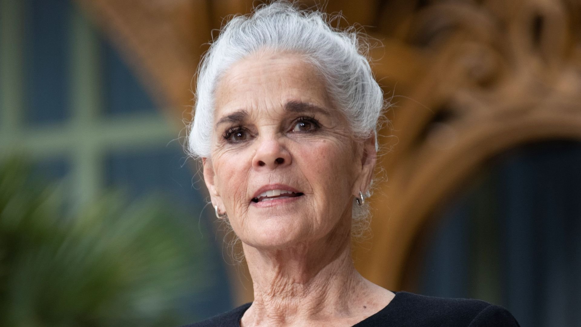 What is Ali MacGraw doing now? Husband, Age, Height, Net Worth