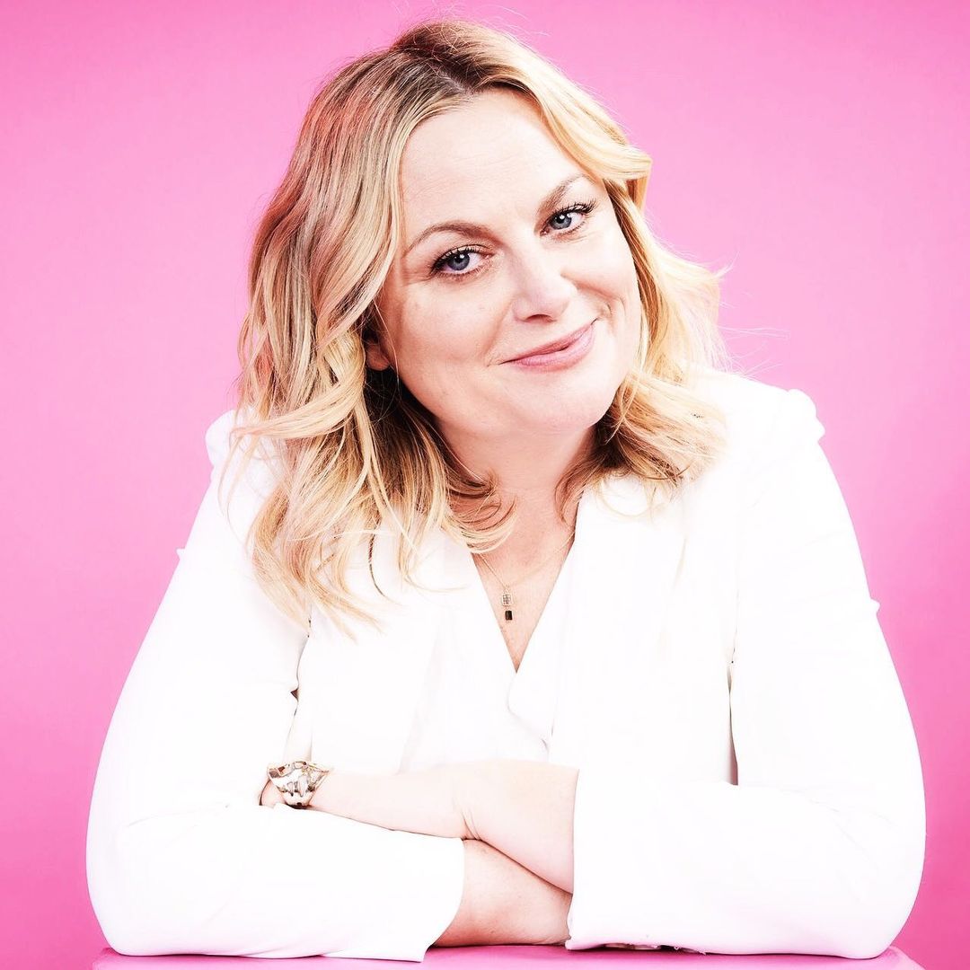 Amy Poehler (Actress) Wiki, Biography, Age, Boyfriend, Family, Facts and More