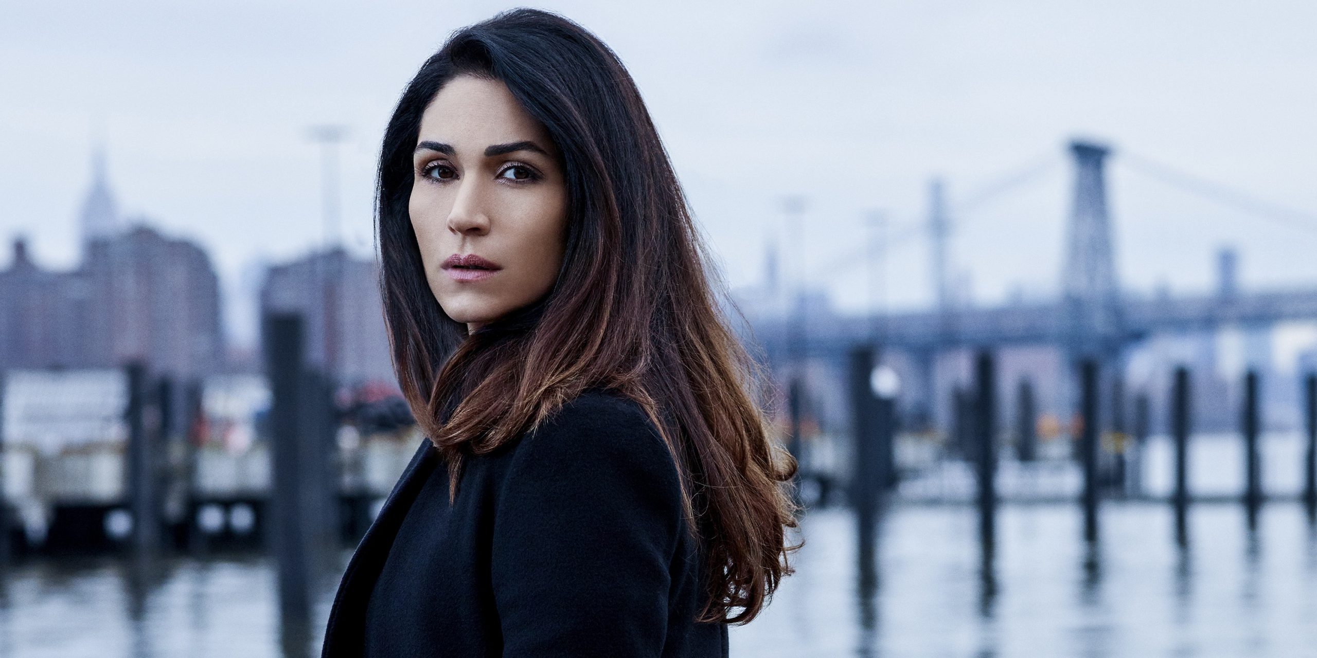 Who is Lela Loren married to? Her Wiki: Net Worth, Appearance in “Power”, Ancestry, Education, Husband, Boyfriend