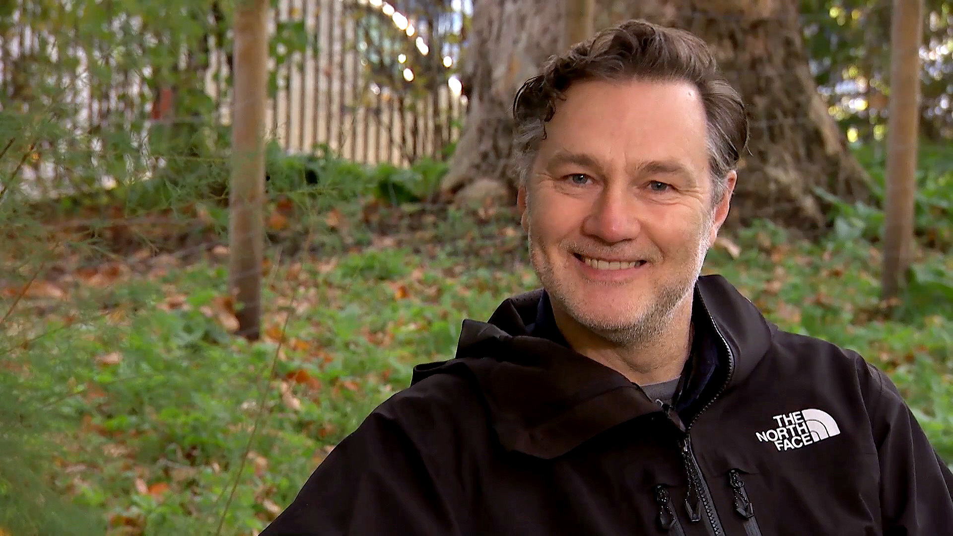 What is David Morrissey famous for? His Age, Spouse, Height