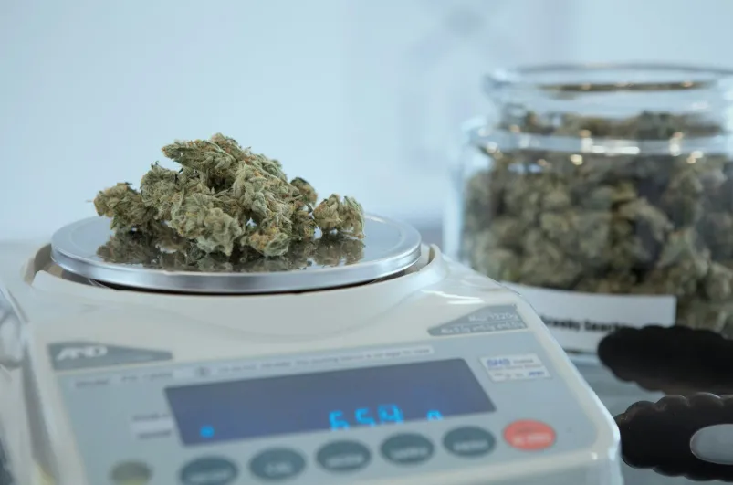 The Best Weed Delivery Services in Los Angeles A Comprehensive Guide