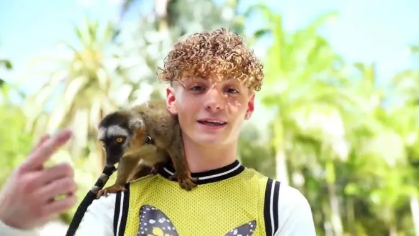 Mikey Tua Age, Height, Weight, Net Worth, Career And Full Bio