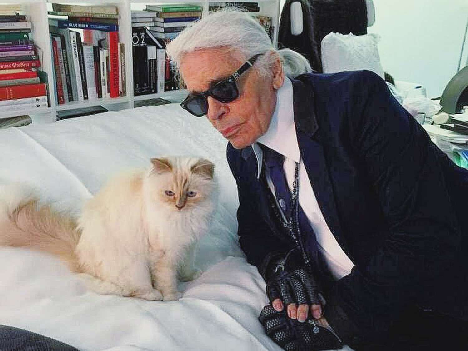 Karl Lagerfeld poses with his beloved Birman cat Choupette who became a central figure in his estate plans