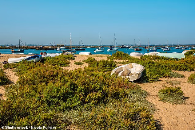 Steep: Homes with a sea view in one area of Essex are listed for £655,479 on average, which is £220,000 more than other properties nearby that don't have one