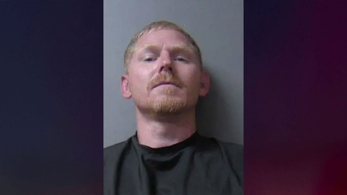 Sex offender previously convicted of attacking child with screwdriver accused of ‘puncturing’ 6-year-old in shopping cart