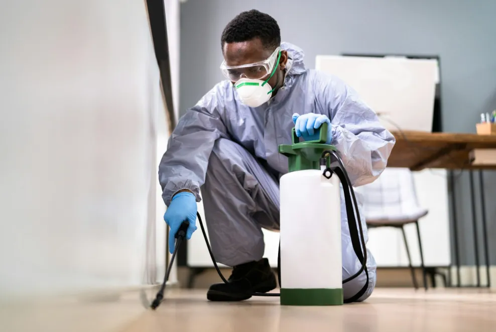 Why Early Pest Control Is Better Than Emergency Treatment