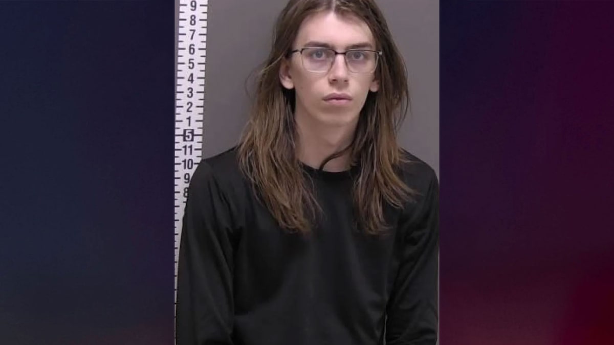 Man accused of dismembering girlfriend with saw he DoorDashed pleads not guilty
