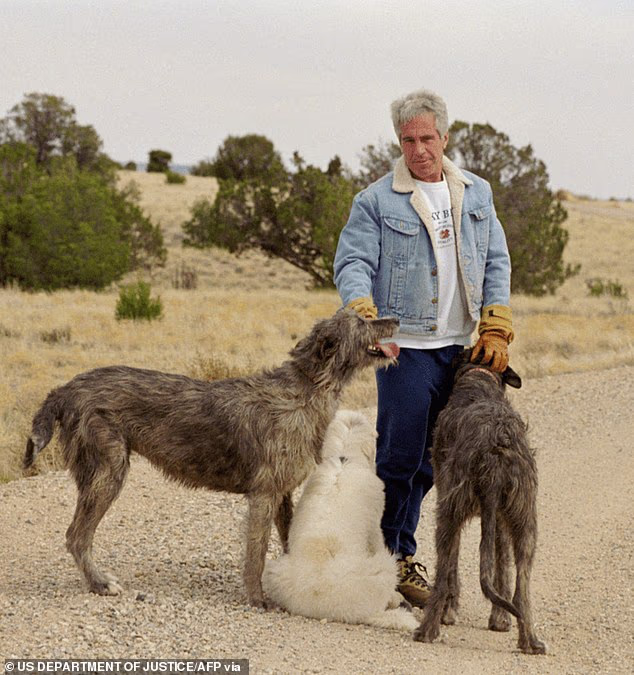 The New Mexico Attorney General's Office has sued the Trump administration over its refusal to provide unredacted Epstein files about Zorro Ranch to state officials. The pedophile is pictured at the property in this undated photo
