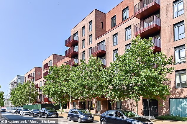 Gathering dust: There are 4,629 homes completed but unsold, this is the highest level Molior has ever seen
