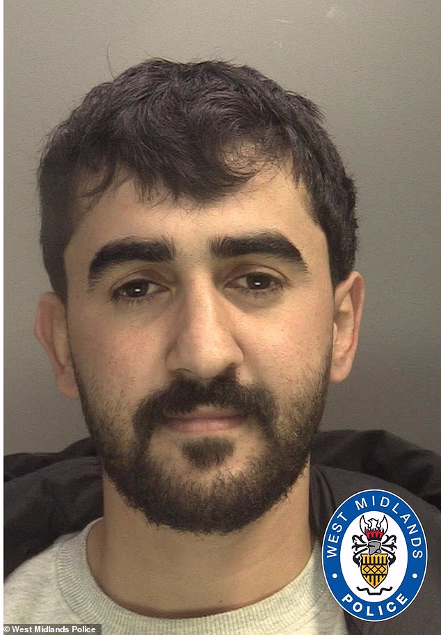Birmingham Crown Court heard Mohammad Hasani sexually assaulted the woman after she showed him around her student flat