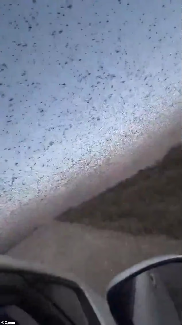 Footage from the region shows locusts filling the air and surrounding vehicles as drivers attempt to navigate through the biblical invasion