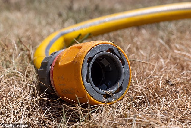 Nine major water companies have issued hosepipe bans across England and Wales.
