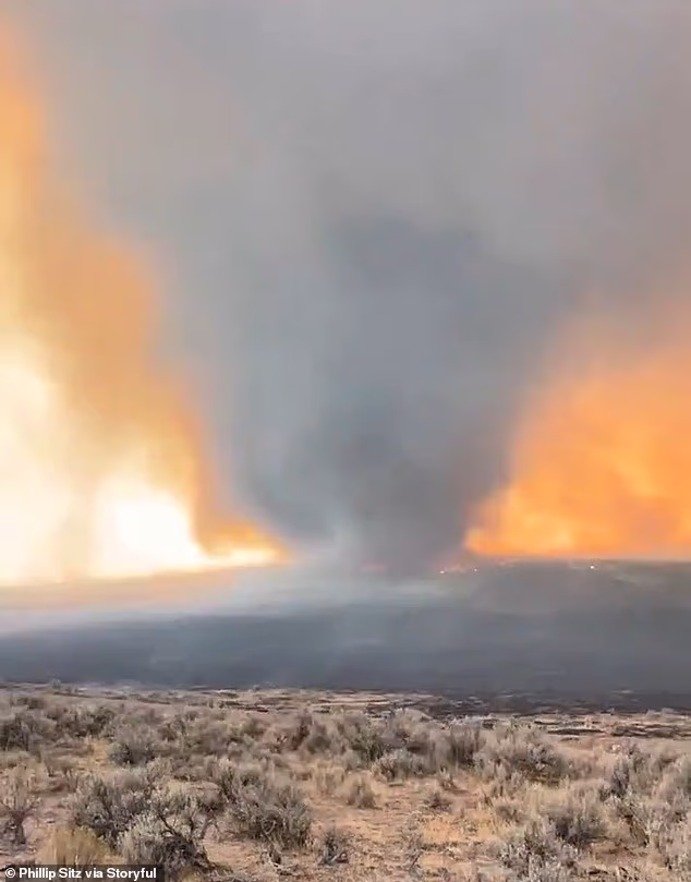 Stunning footage captured near Burns shows the so-called 'firenado' twisting through Harney County, where multiple fires have scorched hundreds of thousands of acres