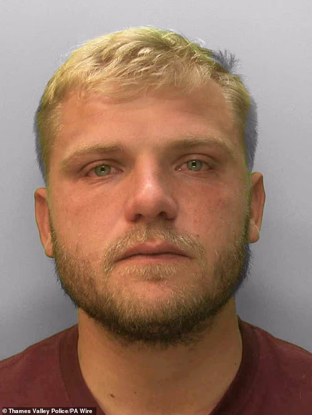 Ryan Dinnage raped a woman in the early hours of May 16, 2022, following the final day of the Royal Windsor Horse Show. He has now been jailed eight years and six months