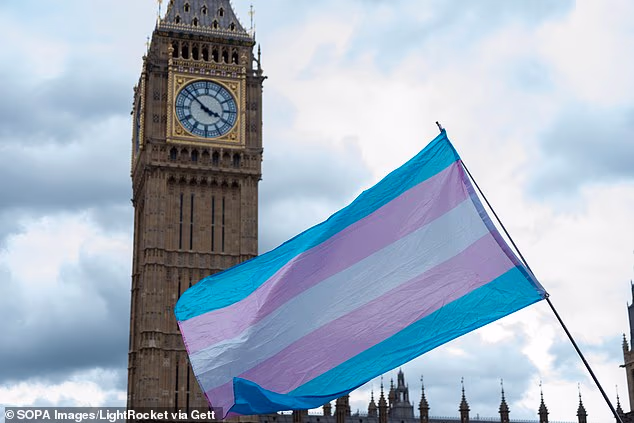 A transgender flag flies in front of Parliament during the Trans Pride march in Westminster last year